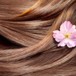 Beautiful healthy shiny hair texture with a flower, hair care co